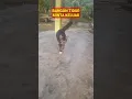 Download Lagu Bangun tidur langsung minta main di Luar