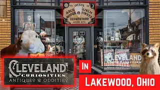 Cleveland Curiosities - Antiques Oddities in Lakewood Ohio