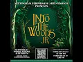Into the Woods Jr at Nettingham Middle School