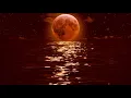 ALIA LARA, 1Timothy - Moonlight (Official Visual Audio)
