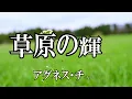草原の輝き / アグネス・チャン (歌詞入り)