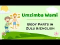 Umzimba Wami - Body Parts in Zulu & English