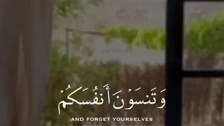 عبدالرحمن مسعد قال تعالى أتامرون الناس بالبر وتنسون أنفسكم 