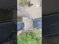 Flooding Eats Roads in South Carolina