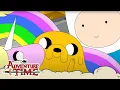 Adventure Time Season 6 Marathon! Finn and Jake's Family Adventures | Cartoon Network