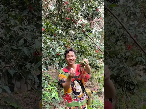 Mukbang langsung dari pohonnya🤤😍 #makan #mukbang