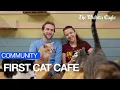 Take a look inside Wichita s first cat cafe
