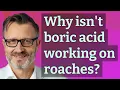 Why isn t boric acid working on roaches