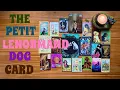 Everything you need to know about the Petit Lenormand DOG card