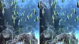 أجمل المشاهد ثلاثية الأبعاد 3D 3 