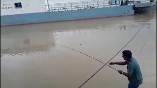                     دندنها