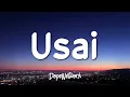 Download Lagu Tiara Andini - Usai (Lirik Lagu)