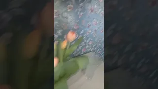 The Flowers Are Falling The Guests Are Probably In A Hurry Flowers Birthday Gift Spring 