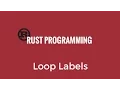 Rust Programming Tutorial - Loop Labels