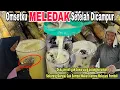 Lagu DAHSYAT!!! Es Tebu Viral Omsetnya MELEDAK Karena Pakai Campuran || Penjual Sampai Tak Sempat Makan