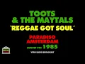 Lagu Toots \u0026 The Maytals - Reggae Got Soul (Live 1985)