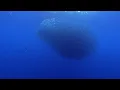 Alex Lustig - Infinite (Ocean Project) - Alex Lustig