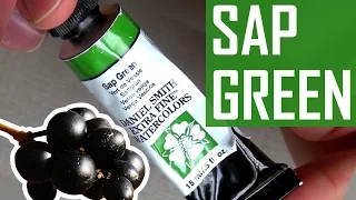 Sap Green - Daniel Smith The Paint Show 5