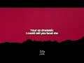 Skye Newman - Family Matters (Lyrics)