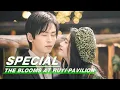 Special: Ju Jingyi Falls In Love With Zhang Zhehan | The Blooms At RUYI Pavilion | 如意芳霏 | iQIYI