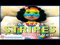 A BAD CASE OF STRIPES By David Shannon READ ALOUDS FOR CHILDREN