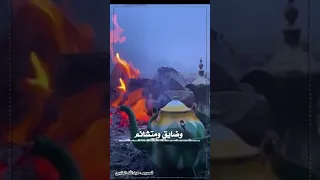سامحن بالي من الديره دندنها