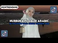 Lagu DJ HUBBUKA FI QALBI ARABIC DJ FULLSONG VIRAL TIKTOK TERBARU 2026
