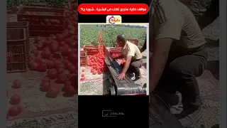 مواقف ذكية هترجع ثقتك فى البشرية شوية ج91 