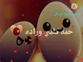 {الحبه گلبي وراده گد احب اهلة وزياده} #أحمد السلطان