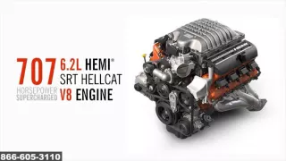 New 2016 Dodge Charger Performance Thompson Chrysler Dodge Jeep Ram - Baltimore Baltimore MD