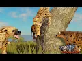 Lagu Leopard Chased In A Tree By Hyena Clan! | ROBLOX Savannah Life
