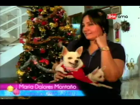 Ropa navideña para mascotas