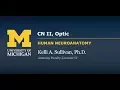 Nervous System Optic Nerve CN II