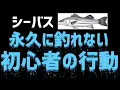Channel