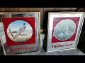 Mirror Wildlife Signs - Thornhill Auction