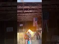 Jersey giant - Tyler Childers (cover)