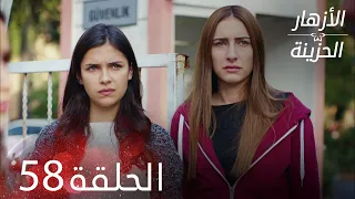 الأزهار الحزينة الحلقة 58 كاملة Kırgın Çiçekler 