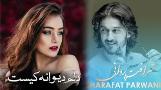 شرافت پروانی نمیدانم دلم دیوانه کیست 