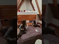 Pet friendly Airbnb Dharamshala