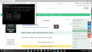 Explain integer number with leading zeros in Java javapedia net