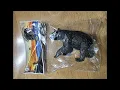 Using Coupons and Getting Free Stuff in Pigeon Forge Tennessee