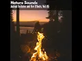 Happiness Birds Sound