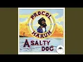 Download Lagu A Salty Dog (2009 Remaster)