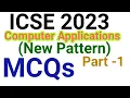 ICSE 2023 MCQ Computer Applications Part 1