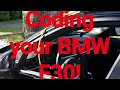 ESys FDL Coding - BMW F30