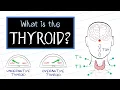 Download Lagu What is Thyroid Disease? (HealthSketch)