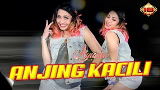 Download Ayunia - Anjing Kacili (Official Music Video) MP3