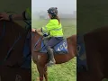 Yearling Prep