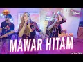 Download Lagu MAWAR HITAM - DARA FU | TIPE X versi Dangdut Koplo (Karaoke Version)