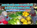 Download Lagu Dapat sayuran lembayung\u0026daun bawang cung hasil mulung di pasar, kita masak apa ya❓